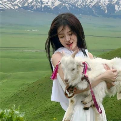 拉巴斯金盒子之谜